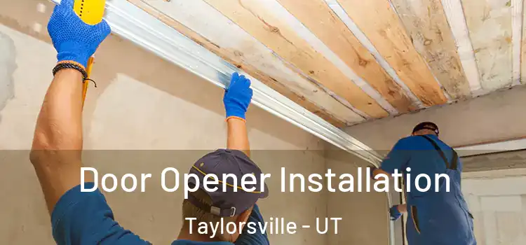  Door Opener Installation Taylorsville - UT
