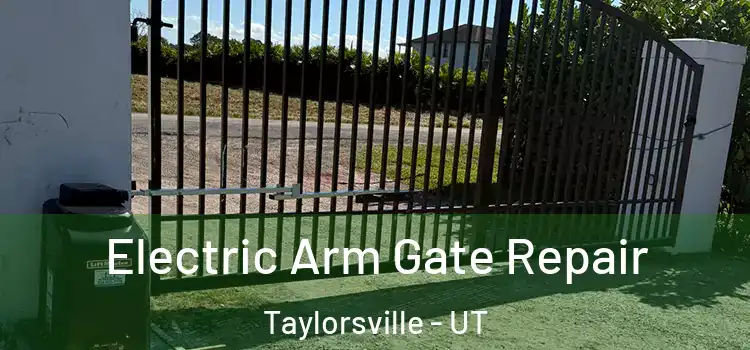 Electric Arm Gate Repair Taylorsville - UT