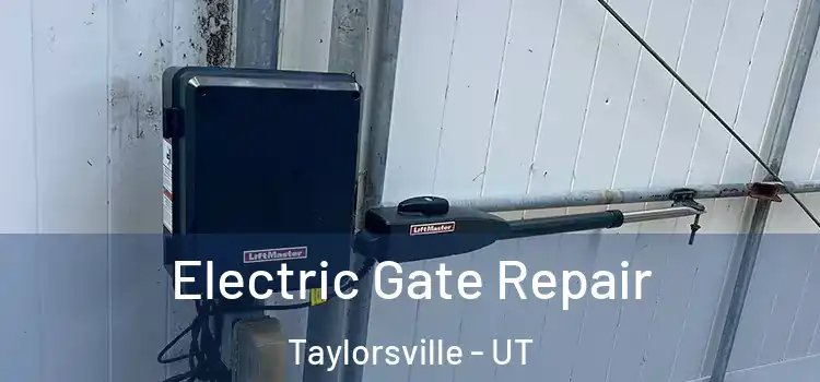  Electric Gate Repair Taylorsville - UT
