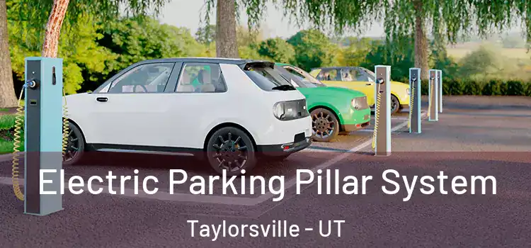 Electric Parking Pillar System Taylorsville - UT