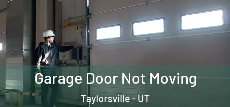  Garage Door Not Moving Taylorsville - UT