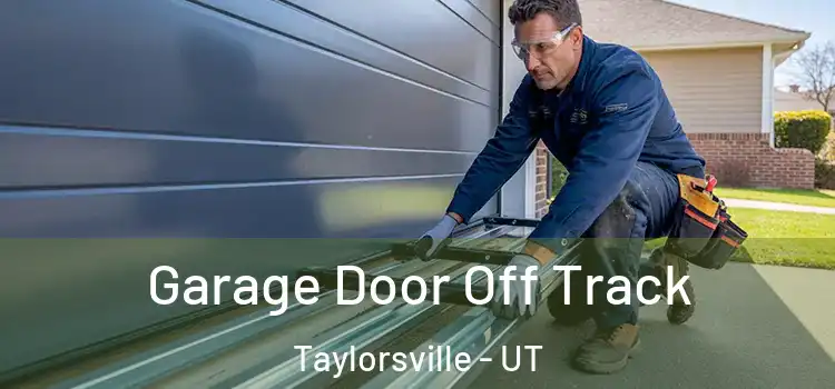  Garage Door Off Track Taylorsville - UT