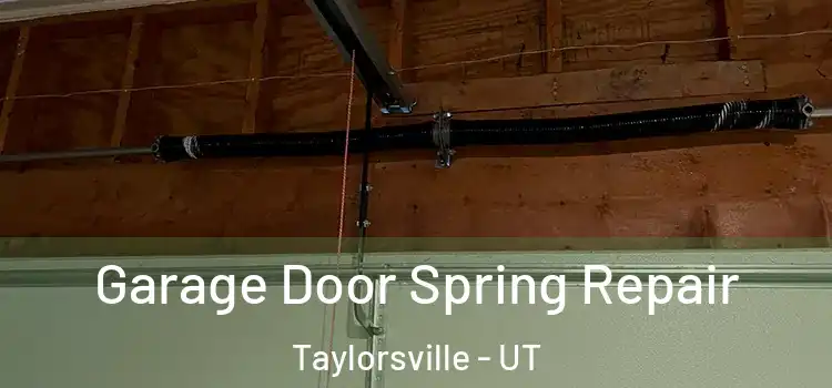  Garage Door Spring Repair Taylorsville - UT