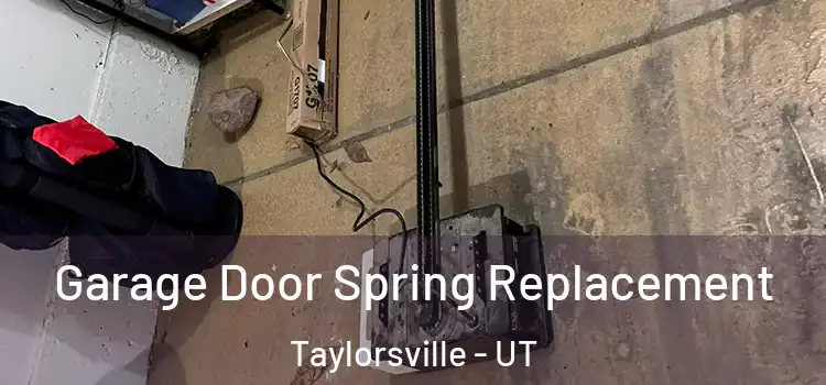  Garage Door Spring Replacement Taylorsville - UT