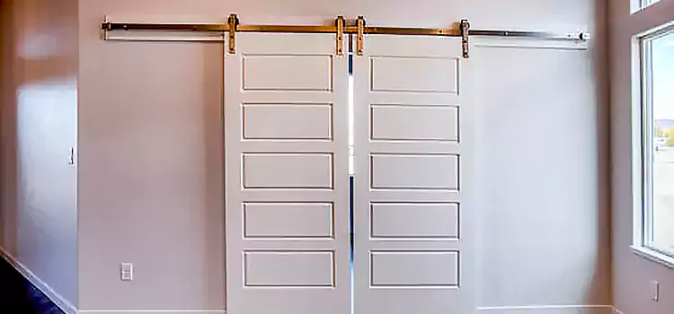 Glass Barn Door with Installation Hardware Kit Taylorsville