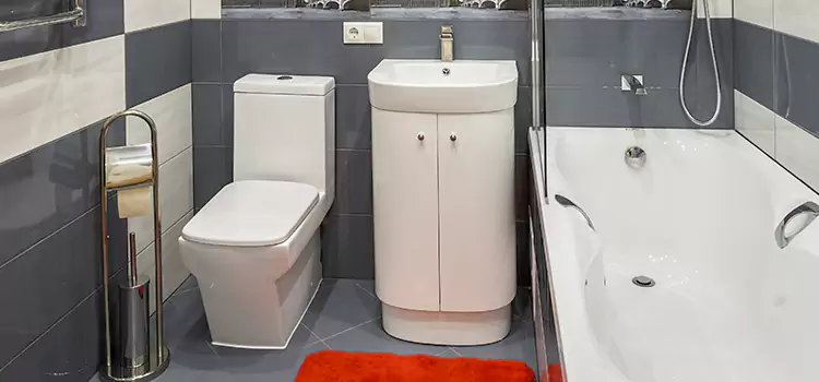 Hansgrohe Shaving Mirror Taylorsville
