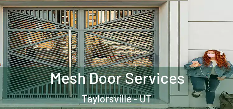 Mesh Door Services Taylorsville - UT
